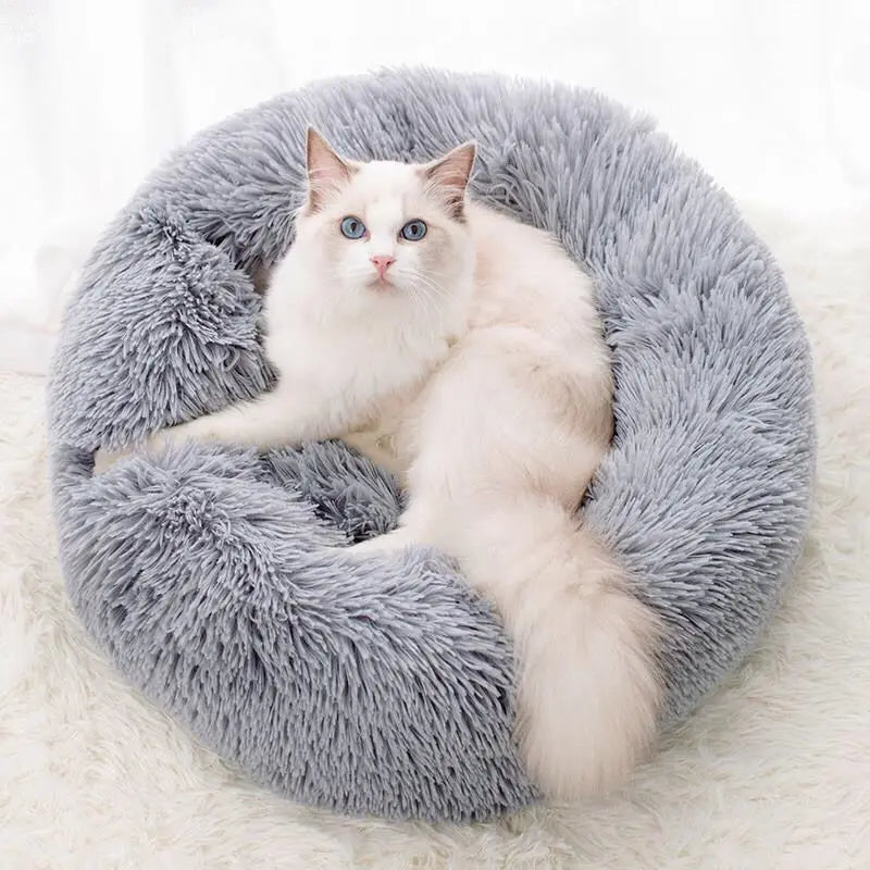 Pet Bed