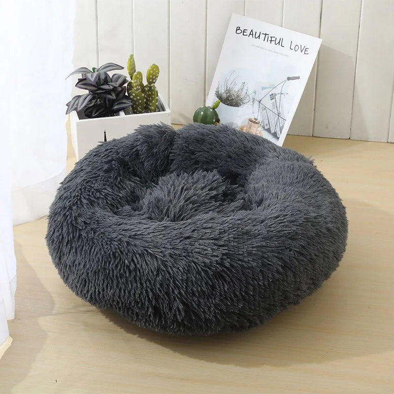 Pet Bed