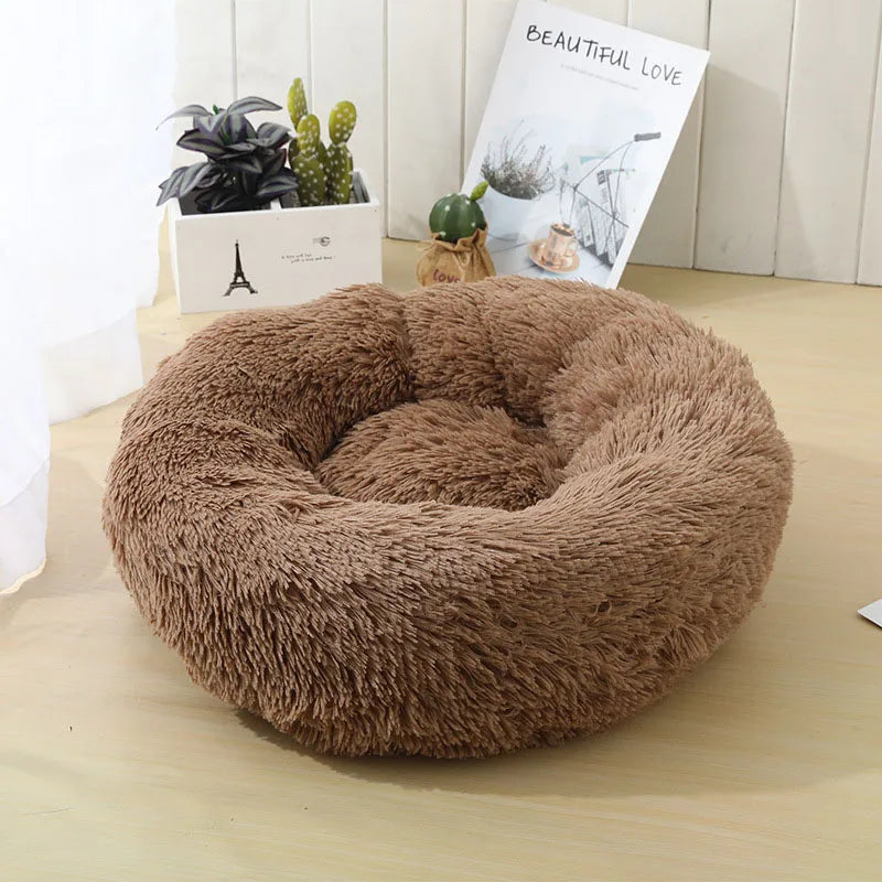 Pet Bed