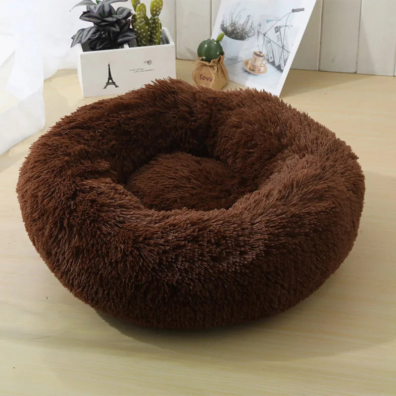 Pet Bed