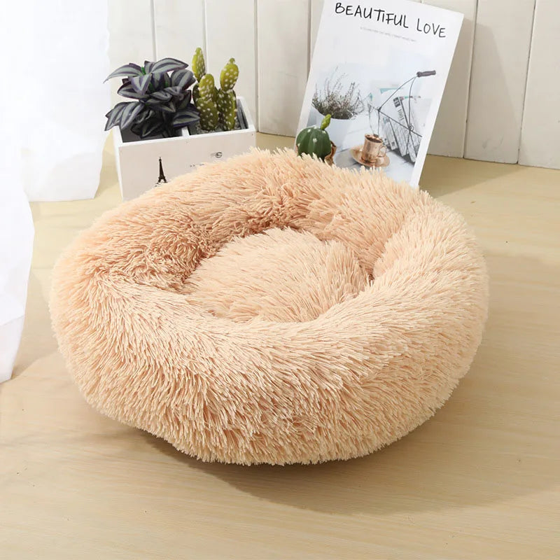Pet Bed