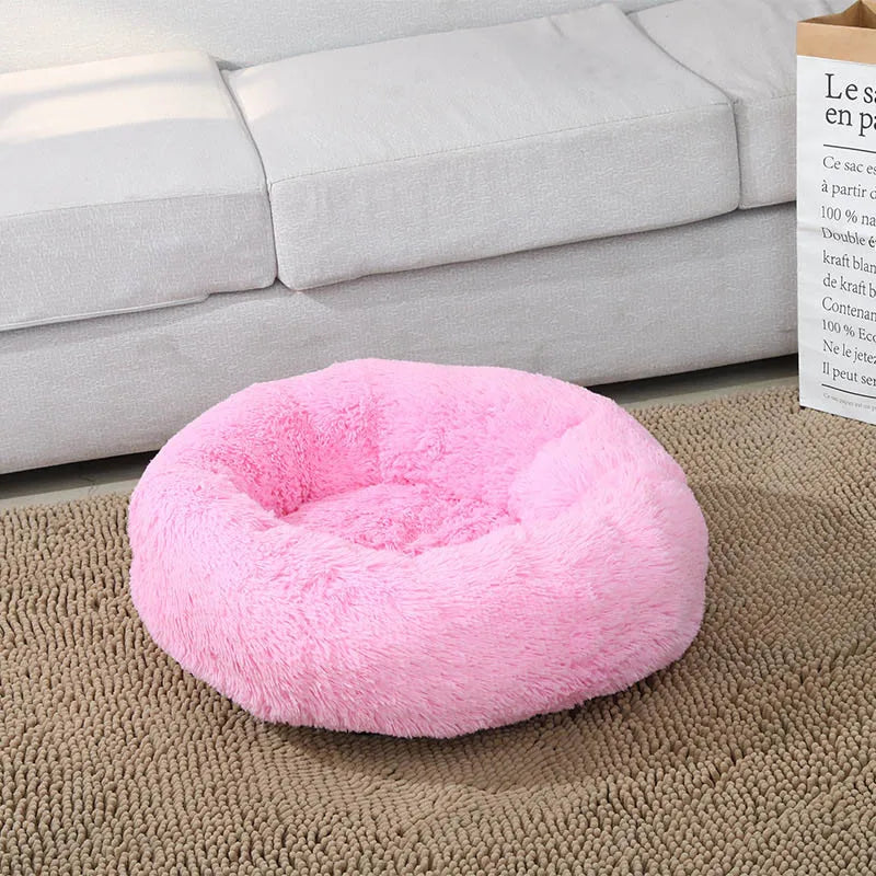 Pet Bed