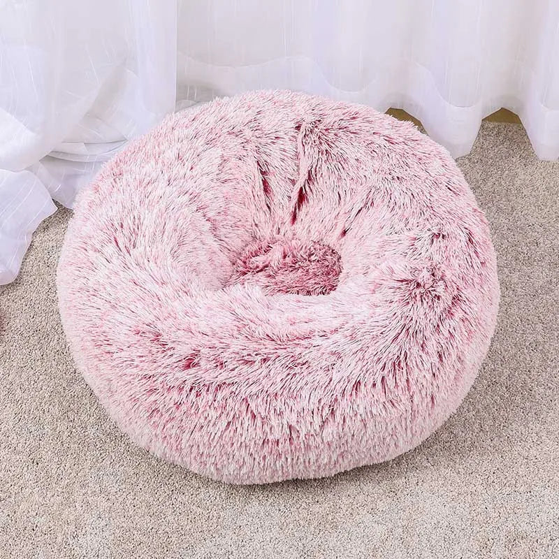 Pet Bed