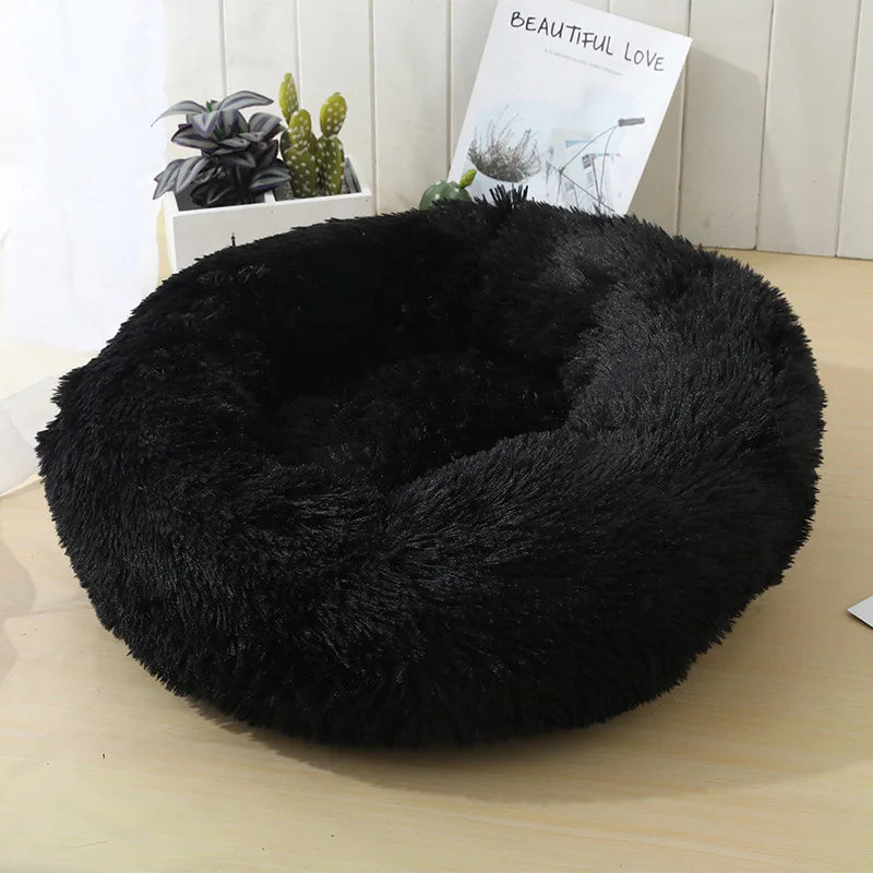 Pet Bed