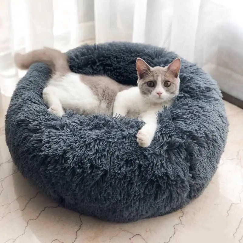 Pet Bed