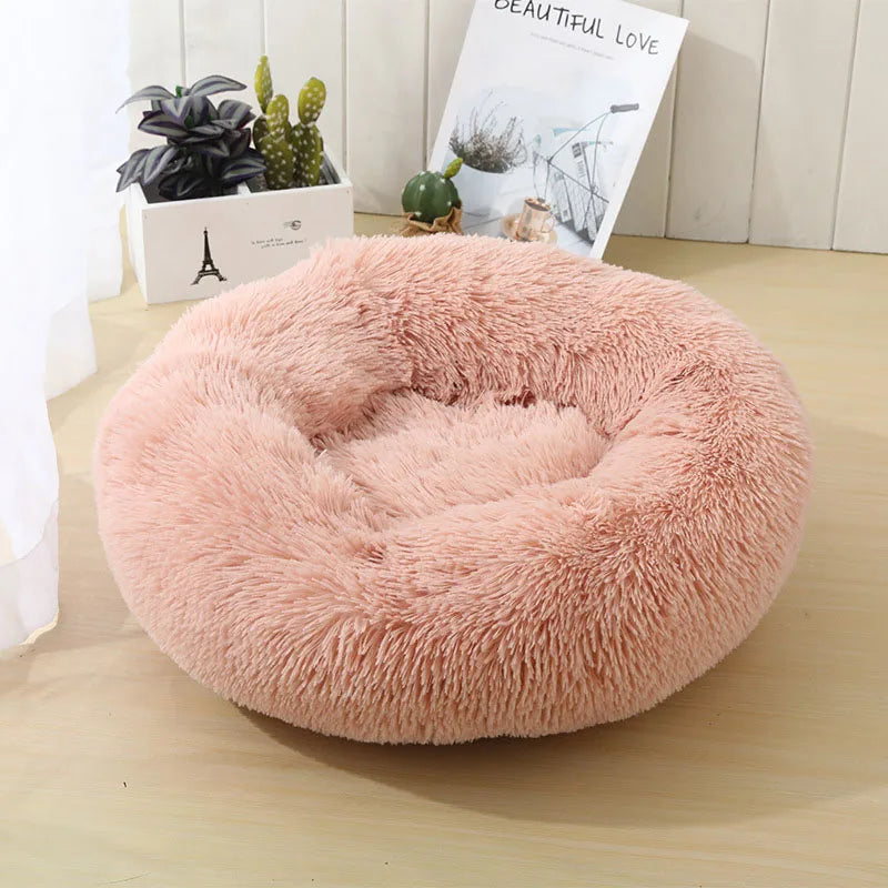 Pet Bed