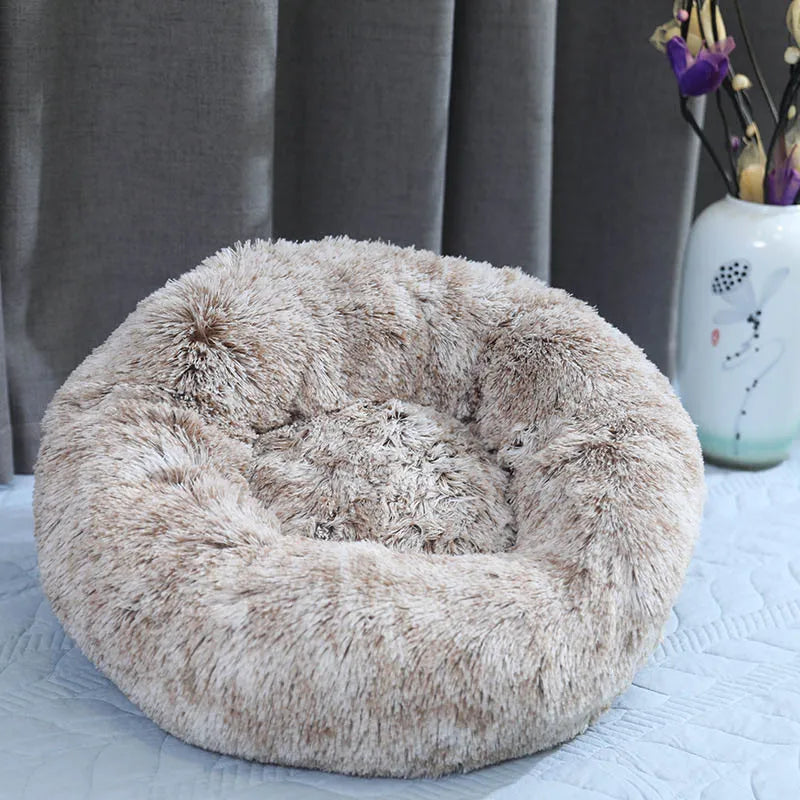 Pet Bed