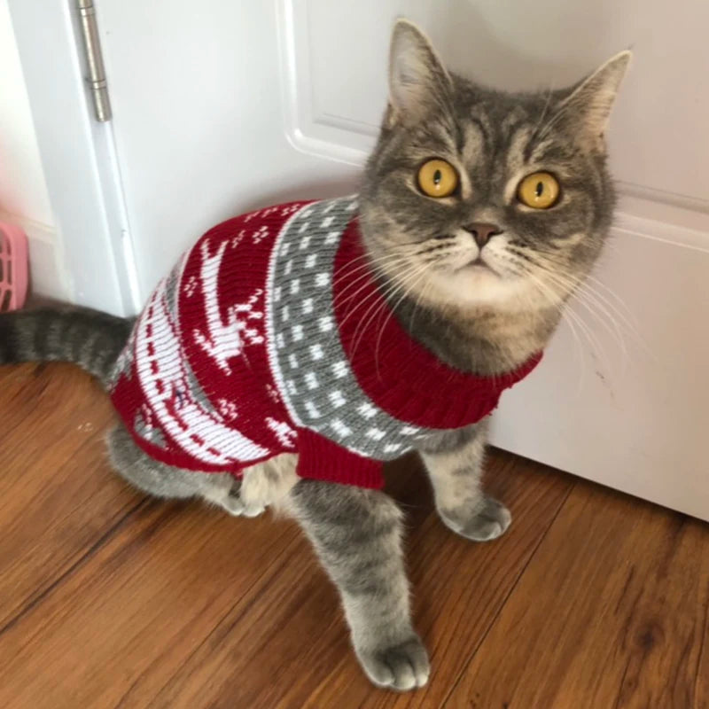 Cat Sweater