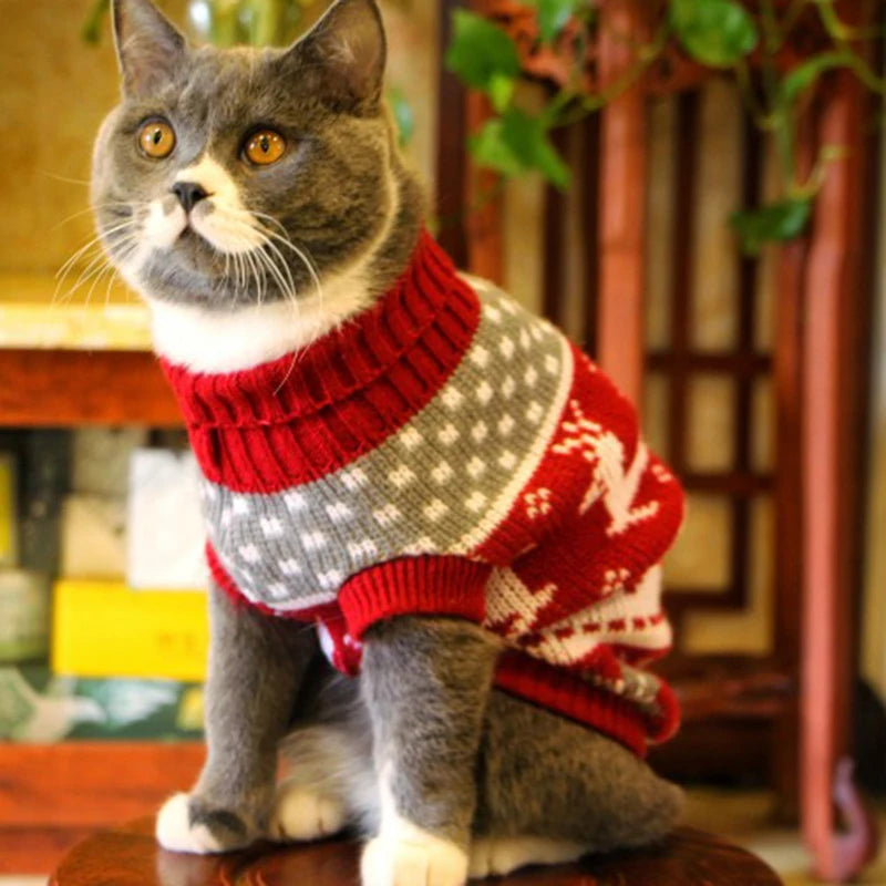 Cat Sweater