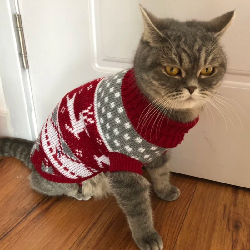 Cat Sweater