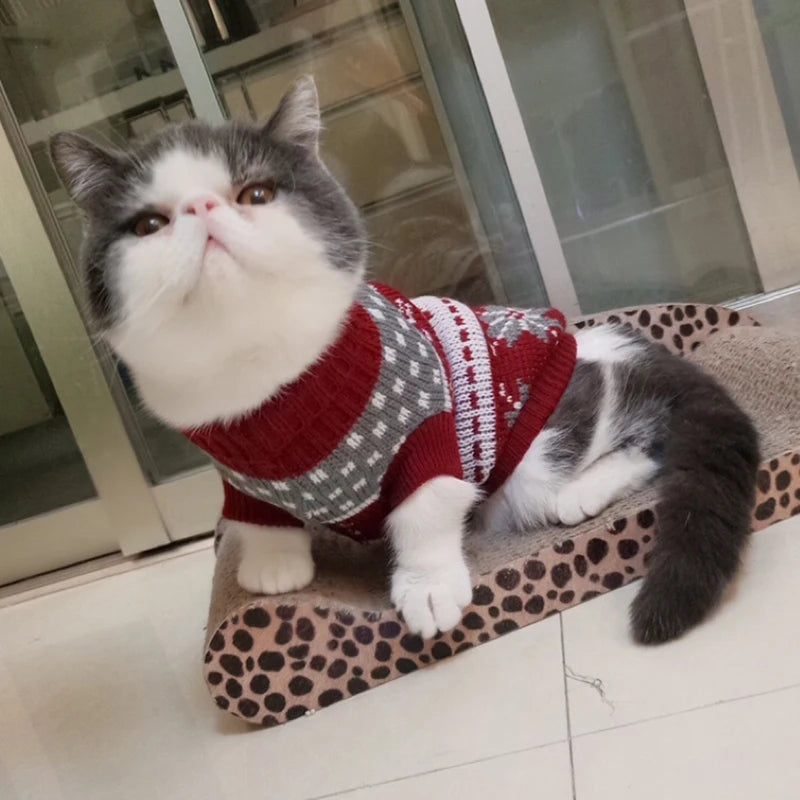 Cat Sweater