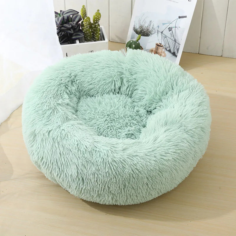 Pet Bed