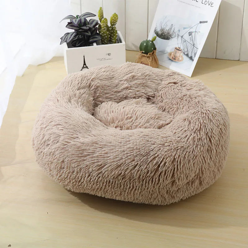 Pet Bed
