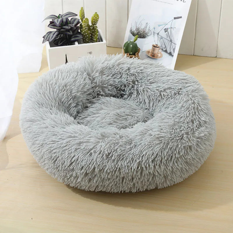 Pet Bed