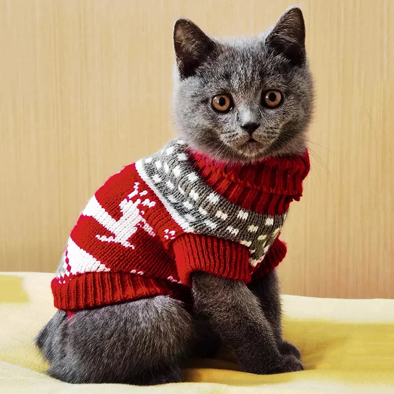 Cat Sweater