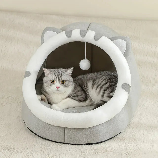 Cat House