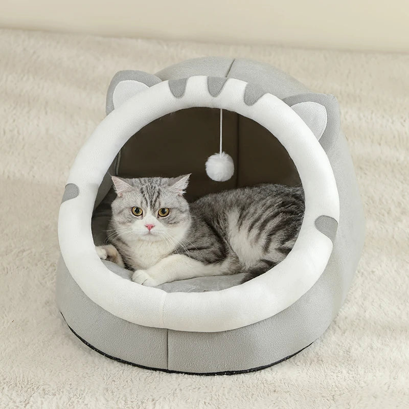 Cat House