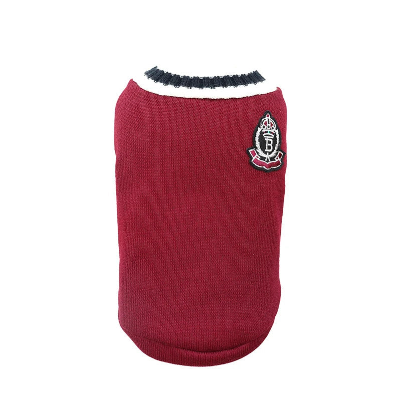 Dog Sweater College Outfits