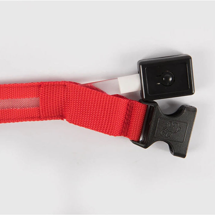 Pet Collars Harness