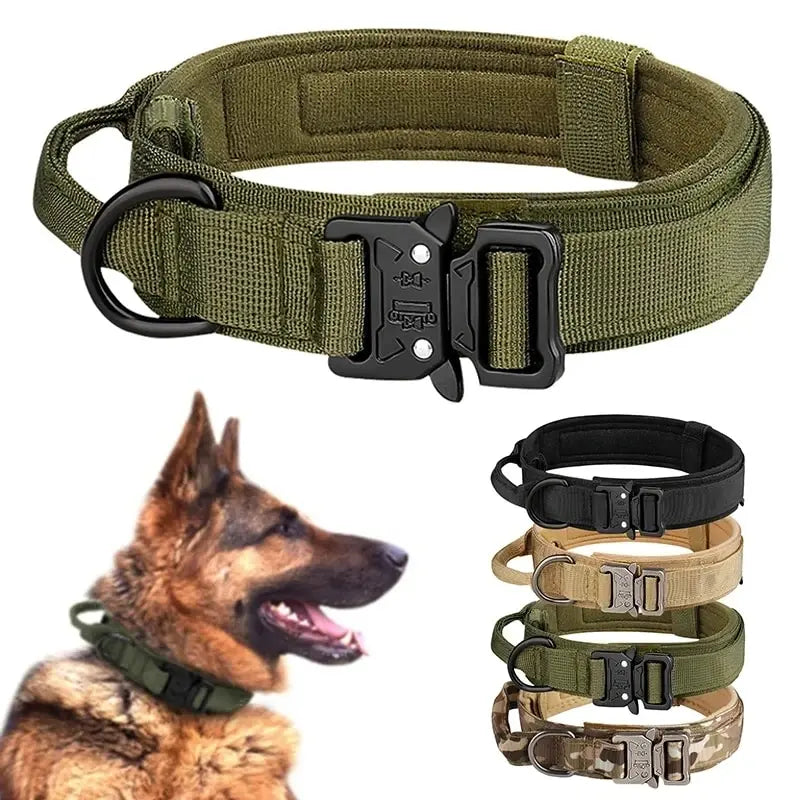 Dog Collar