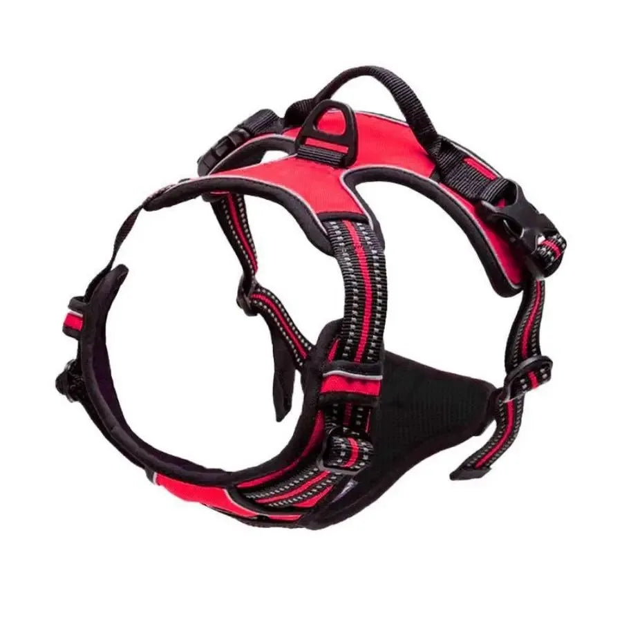 Dog Collars Harness