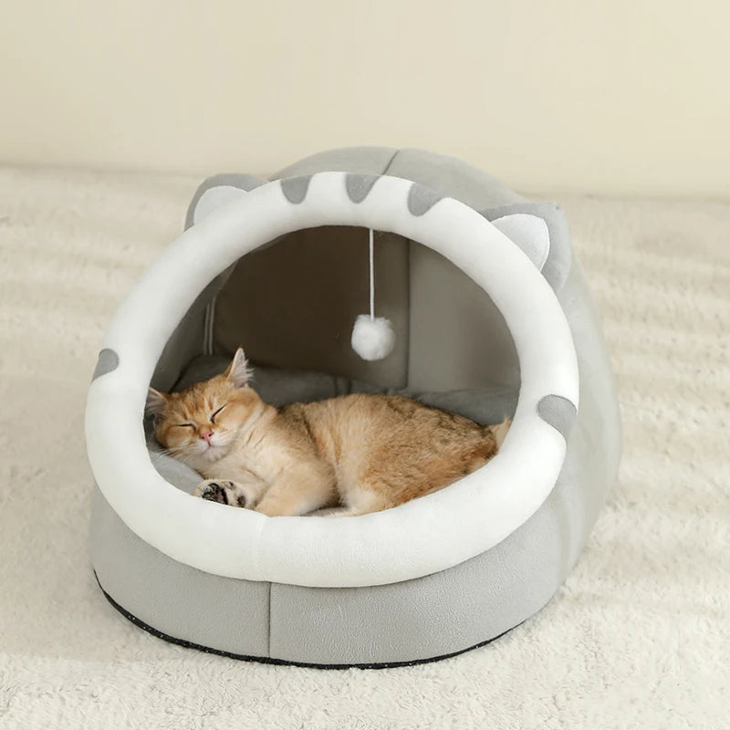 Cat House