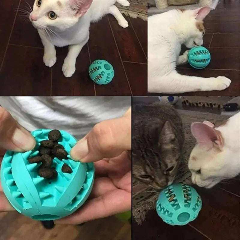 Dog Ball Toy
