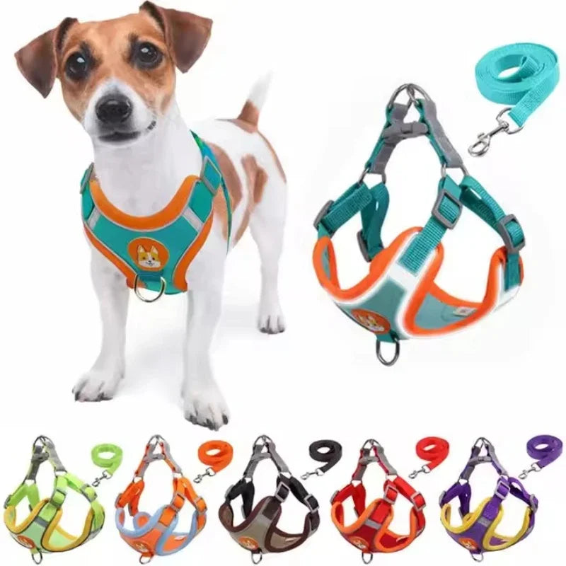 Dogs Leash Adjustable