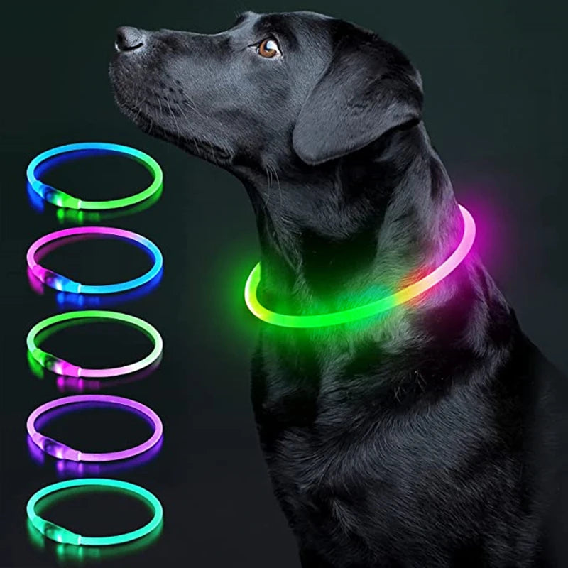 Pet Collars Harness
