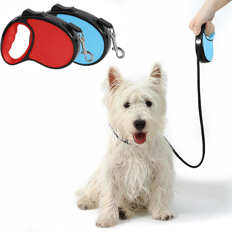 Dog Leash
