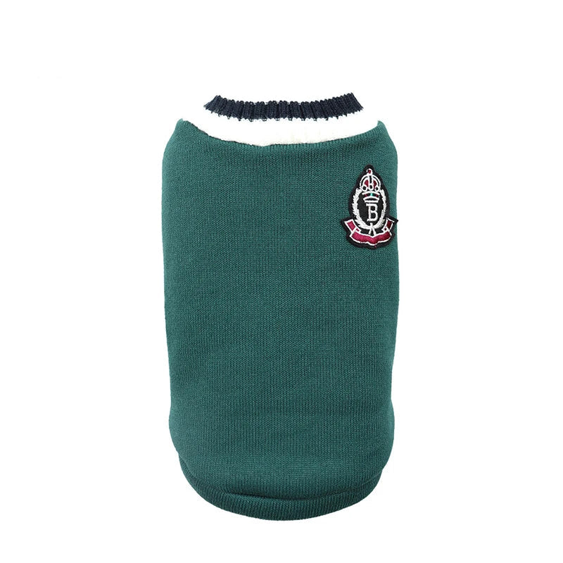 Dog Sweater College Outfits