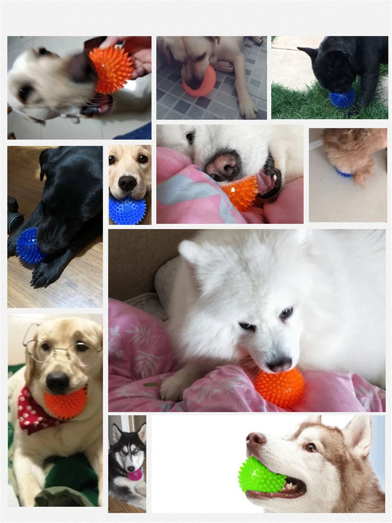 Pet Dog Toys Balls Accessories