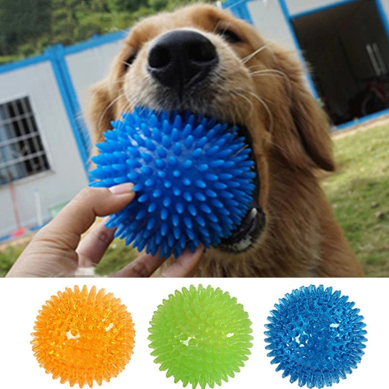 Pet Dog Toys Balls Accessories
