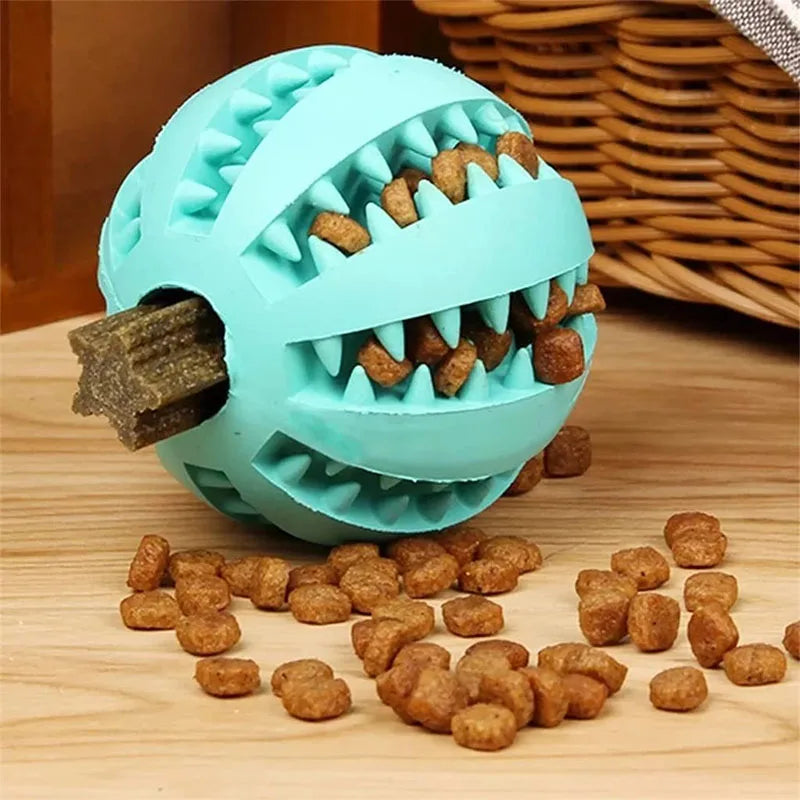 Dog Ball Toy