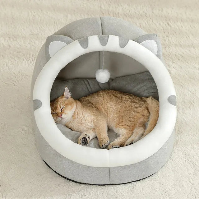 Cat House