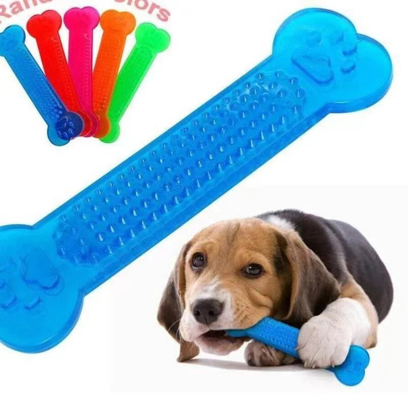 Dog Accessories