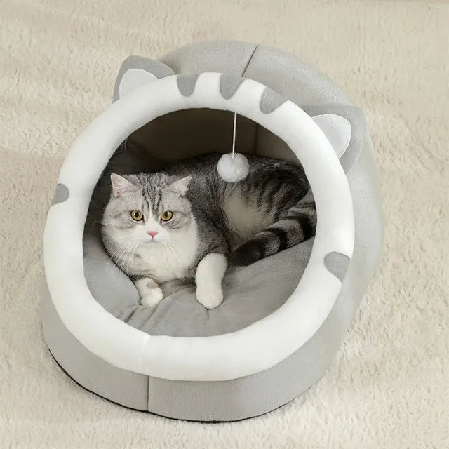 Cat House