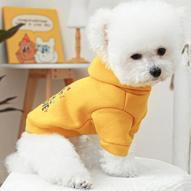 Pet Dog Clothes