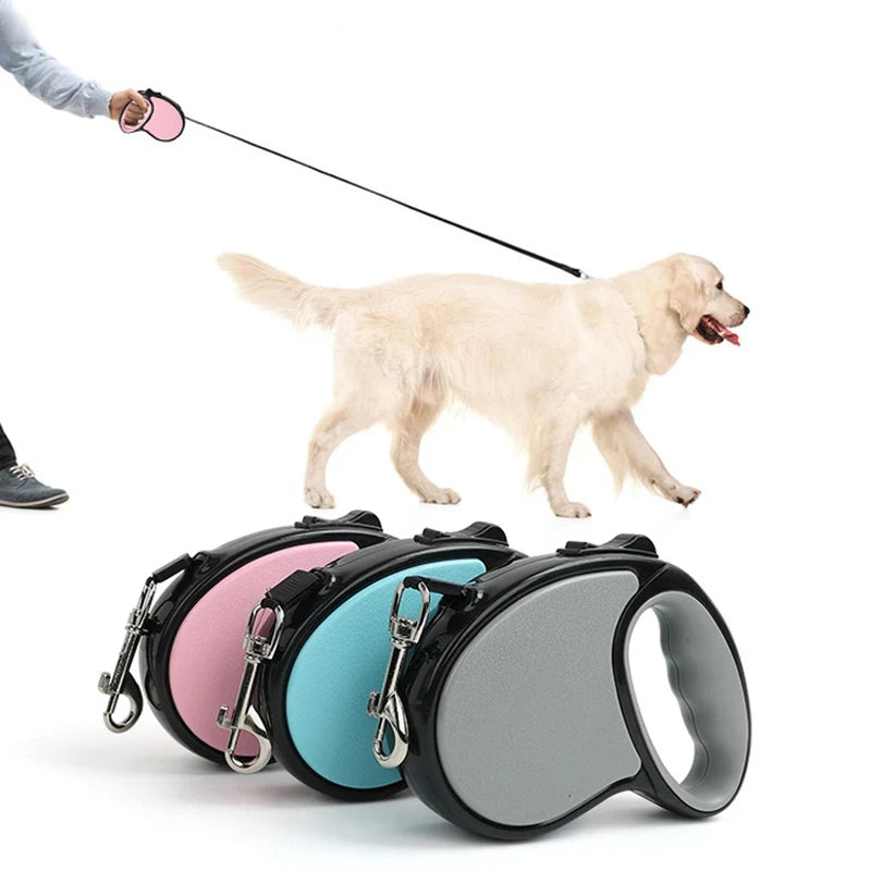 Dog Leash