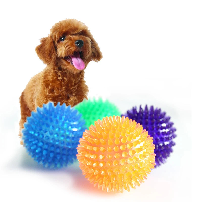 Pet Dog Toys Balls Accessories