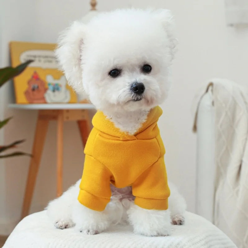 Pet Dog Clothes