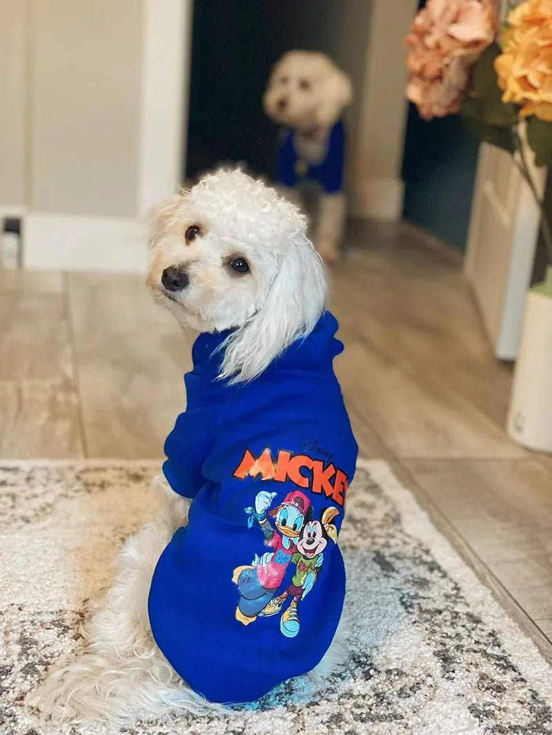 Disney Cartoon Clothes