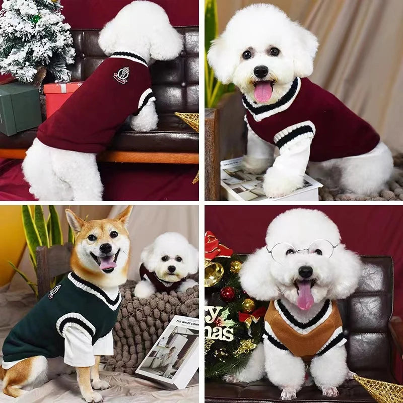 Dog Sweater College Outfits