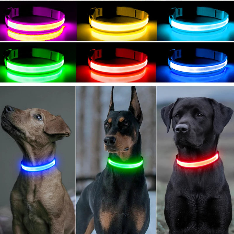 Pet Collars Harness