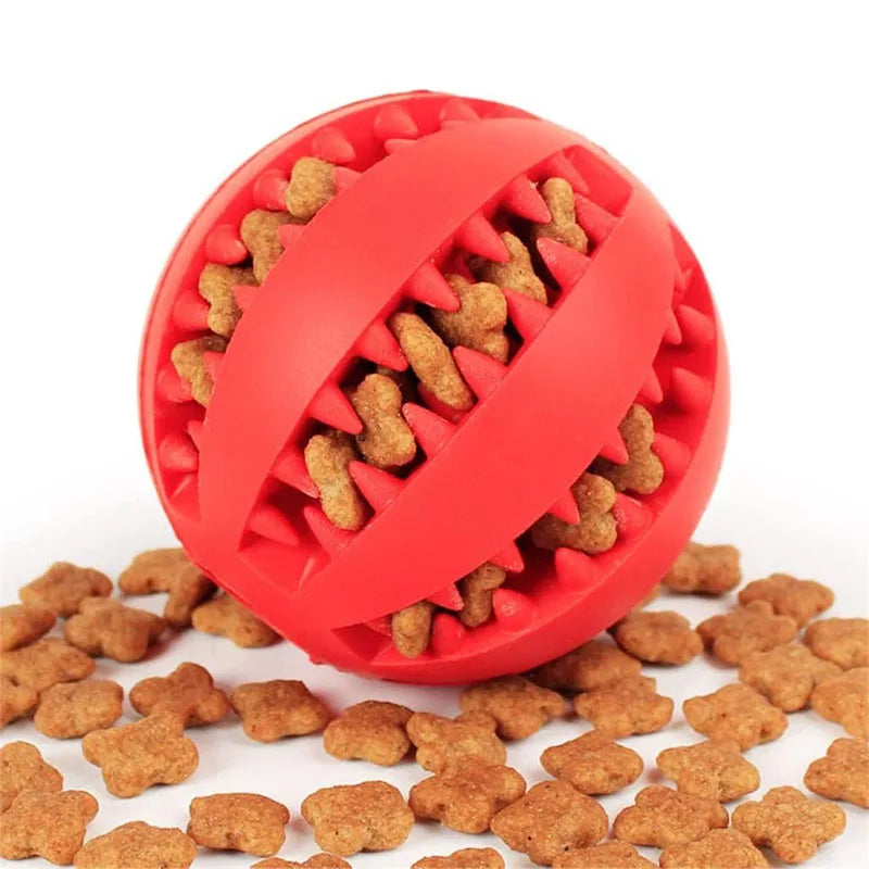 Dog Ball Toy