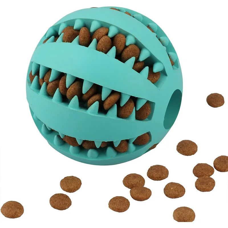 Dog Ball Toy