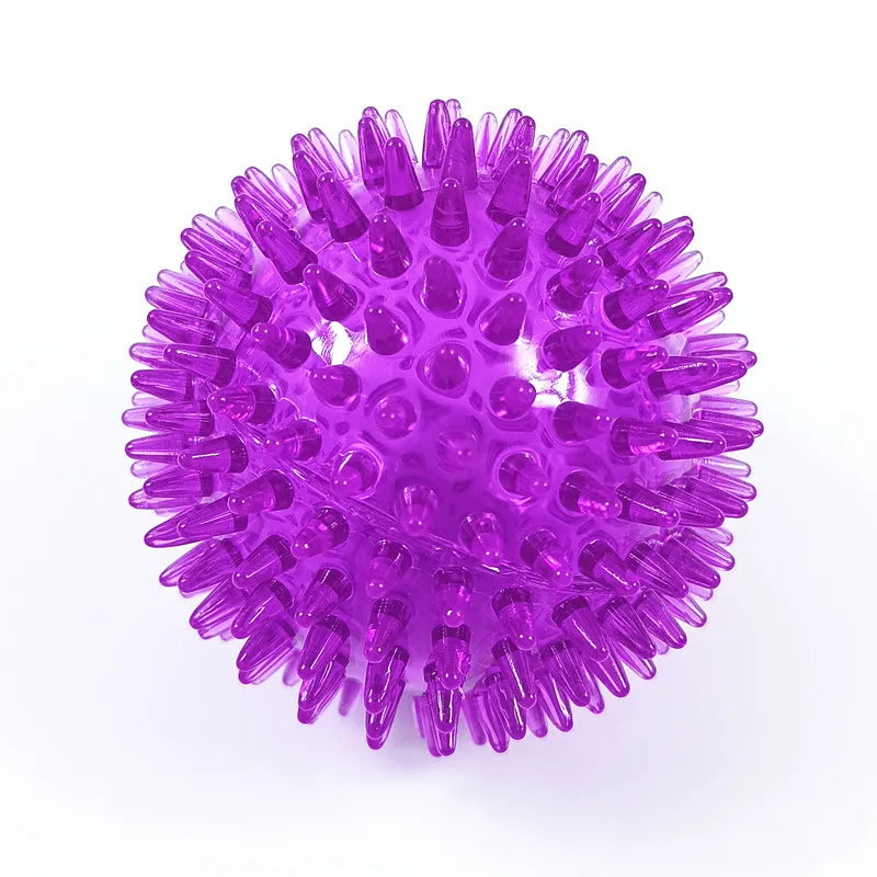 Pet Dog Toys Balls Accessories