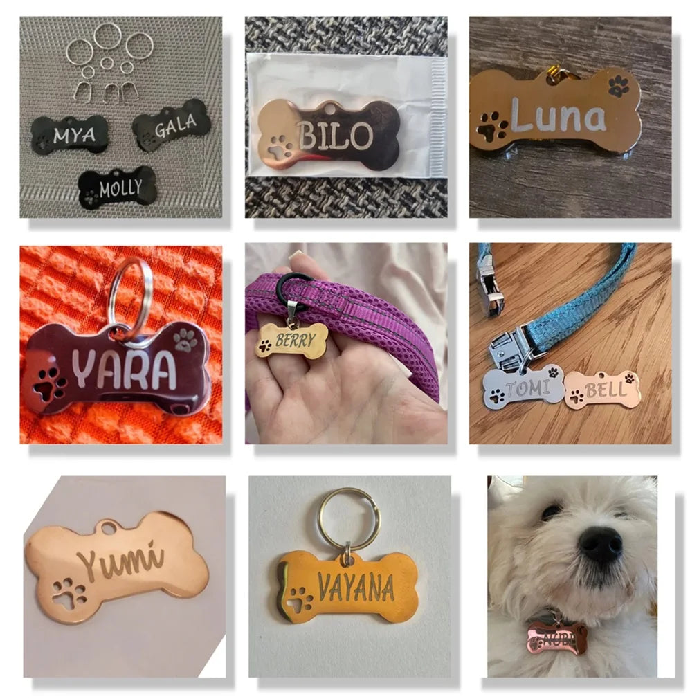 Pet ID Tag