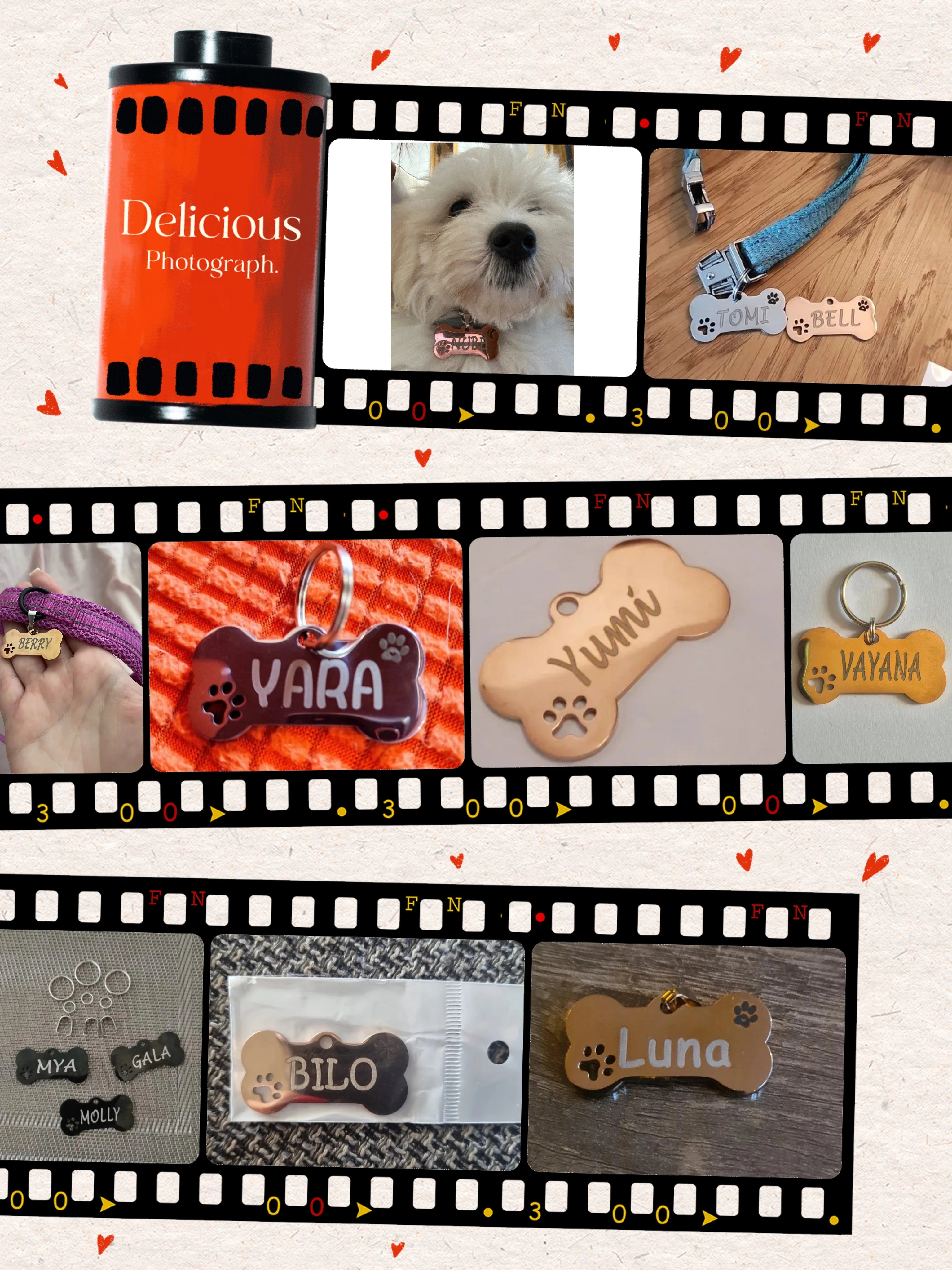 Pet ID Tag