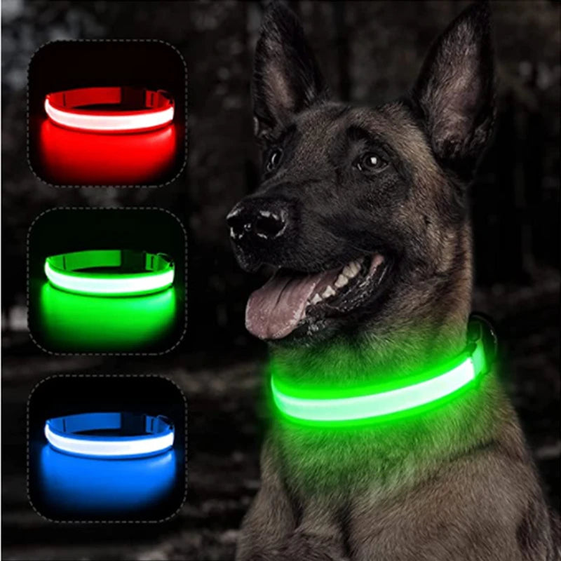 Pet Collars Harness
